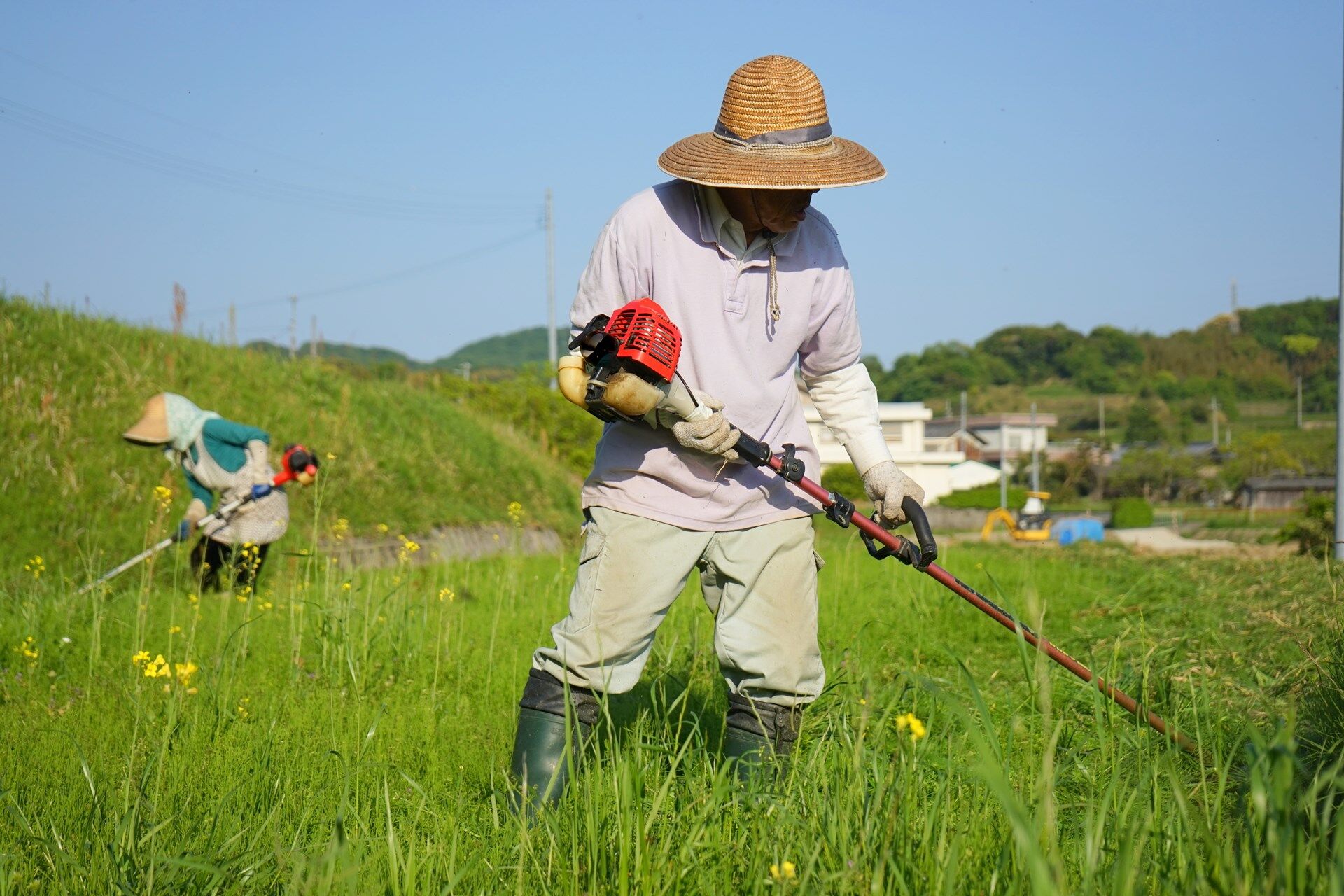 s-庭木伐採・庭木剪定・草刈り_11