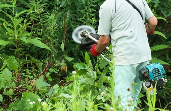 草刈りを代行し怪我・犯罪・害虫被害を防ぎます | 青葉区で便利屋サービスを展開する御用聞き家工房美しが丘店
